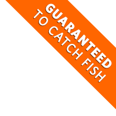 Guaranteed To Catch Fish
